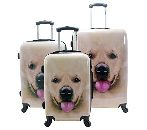 Suitcase with snap straps-luxury cabin luggage suitcase-Chariot Labrador 3-Piece Luggage Set